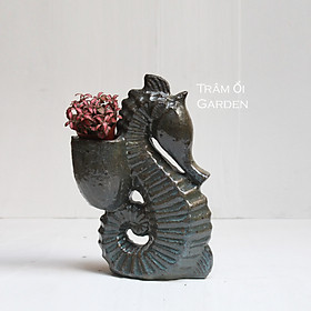 Chậu gốm và cây cảnh