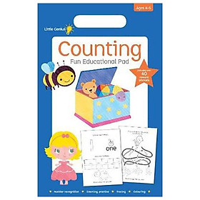 Ảnh bìa Little Genius Small Pad Counting