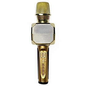 Mua Mic karaoke SD-10