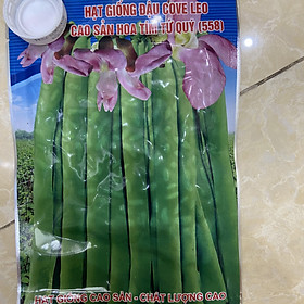 Mua Hạt giống đậu cove leo tứ quý