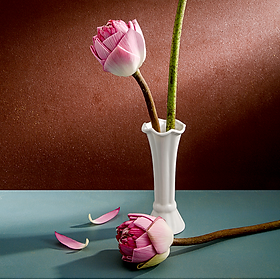 Hình ảnh Lọ hoa bô đê sứ Long Phương Bình hoa mini cách điệu 