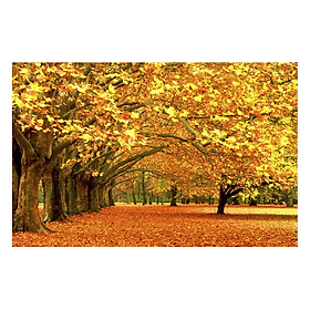 Tranh Dán Tường Phong Cảnh 3D LN013