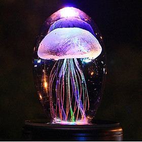 Mua Quả Cầu Pha Lê Trong Suốt Hình Con Sứa Biển 3D Dùng Để Trang Trí Bàn Làm Việc  Thả Bể Cả Cảnh Tuyệt Đẹp