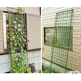 Mua 1 mét vuông lưới giàn cho cây leo - bán từ 2 mét trở lên
