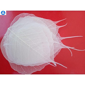 Mua Set 10 Xương lá bồ đề phơi khô tự nhiên