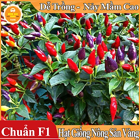 Mua Hạt giống Ớt Ngũ Sắc ( Gói 40 Hạt ) - Nông Sản Vàng