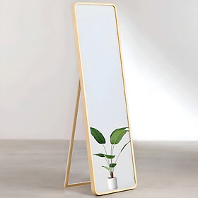 Mua Gương soi toàn thân bo góc sang trọng  hiện đại 40x120cm  45x145cm  50x140cm - Nhiện Nhà Đẹp
