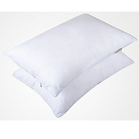 Mua Combo 2 Gối ngủ bông mềm  hàng VN cao cấp Thời Trang Everest