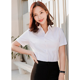 Sơ mi công sở cổ bẻ giản đơn DVS25