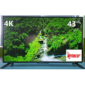 Mua Màn hình LED Arirang 43 inch UHD 4k AR-43UM01 - Hàng Chính Hãng - màn hình 43 inch - màn hình 4k UHD - màn hình tivi