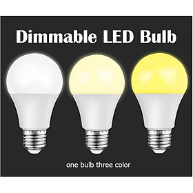 Mua Bộ 2 bóng đèn Led bulb 12w với 3 màu thay đổi  siêu sáng 