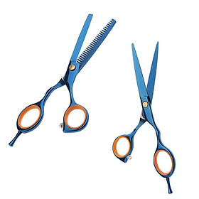 2pcs Salon Hairdresser Hair Cutting Thinning Scissors Scissors Hairdressing Set