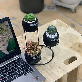 Terrarium, tiểu cảnh sen đá & xương rồng mẫu 003