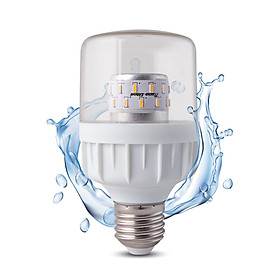 Bóng đèn LED 9W chuyên dụng cho hoa cúc miền bắc chính hãng Rạng Đông Model: TR60.HC/9W