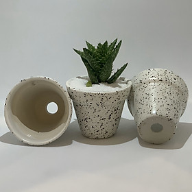 Bộ 3 Chậu Sứ - 7x7x7 Cm - Mầu Trắng Chấm Đen - Dáng Trôn Ốc - Chậu Gốm Bát Tràng Trồng Cây Mini Để Bàn, Tiểu Cảnh Terrarium, Sen Đá & Xương Rồng