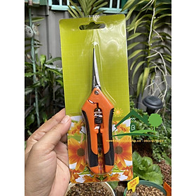 Mua Kéo cắt tỉa cành  lá có nút khoá mở cắt tỉa cành lá bonsai  cây cảnh  kéo tỉa đa đăng