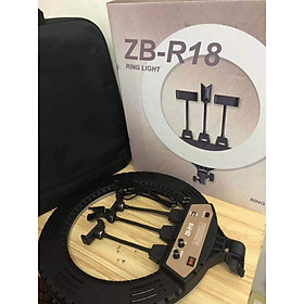 Mua Đèn livestream 45Cm Bản Cao Cấp ZB-R18   Quay Phim   Chụp Ảnh  Livetream  Selfie  Xăm nghệ thuật  Kèm Kẹp Điện + Gương