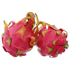 CÂY GIỐNG CÂY THANH LONG VỎ ĐỎ RUỘT TRẮNG MỌNG THỊT BÌNH THUẬN, QUẢ SỚM, SIÊU QUẢ , SIÊU NGỌT, SIÊU NĂNG SUẤT