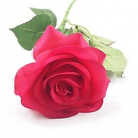 Cành Hoa Hồng Lạnh Hồng Fuchsia
