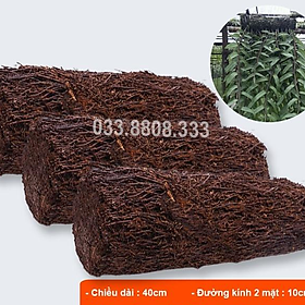 Mua DỚN TRỤ GHÉP LAN - GIÁ THỂ TRỒNG LAN ĐÃ QUA XỬ LÝ (40X10cm)