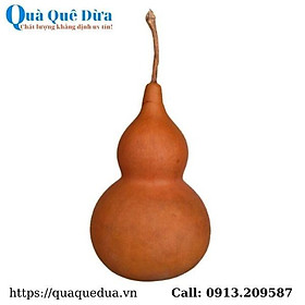Mua Hồ Lô Phong Thủy Hút Tài Lộc  Thể Tích 600 - 1200ml - Sản Phẩm Được Sản Xuất Tại Bến Tre
