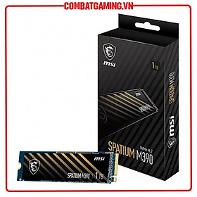 Mua Ổ Cứng SSD MSI SPATIUM M390 NVMe M.2 2280 PCIe - Hàng Chính Hãng