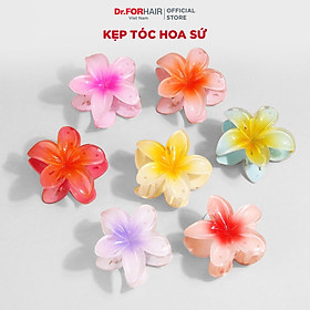 Combo mix gói dùng thử ngẫu nhiên dầu gội, kem ủ, muối tẩy tế bào làm sạch da đầu giảm rụng tóc Dr.FORHAIR Hàn Quốc