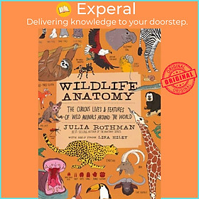 Sách - Wildlife Anatomy - The Curious Lives & Features of Wild Animals around t by Julia Rothman (UK edition, paperback)