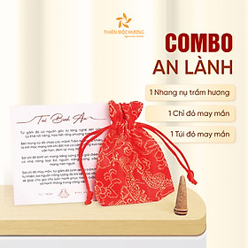 Mua Combo An Lành : Túi trầm Bình An  vòng tay chỉ đỏ cầu may và trầm hương tự nhiên - Thiên Mộc Hương
