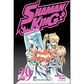 Shaman King 29