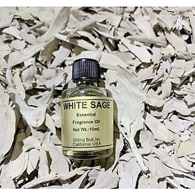 Mua 10ml- Sage Essential Oil/ Tinh dầu Sage nguyên chất/ Tinh dầu xô thơm nguyên chất