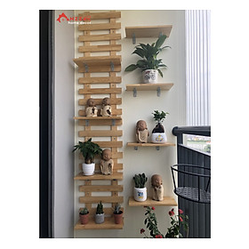 Kệ gỗ thông treo tường trang trí ban công, ngoại thất đẹp, treo cây, hoa