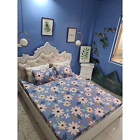 Mua Một Áo Gối Vỏ Gối Mền Mịn Cotton Poly Size 65cm x45cm Chọn Mẫu