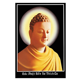 Mua Tranh treo tường trang trí nơi thờ cúng mẫu phật adida  tam thánh  qian thế âm  Tranh Phật Giáo Phật Thích Ca Mâu Ni 2044