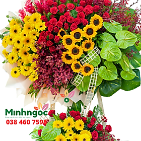 Mua Hoa đồng tiền – loài hoa của tình yêu và hạnh phúc – 204