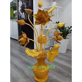 Mua hoa sen gỗ xà cừ