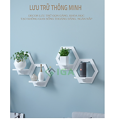 Kệ Treo Tường CIRCLE SHELF - IG389