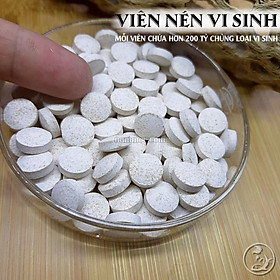 Vi Sinh Tép Đài Loan | Vi Sinh Bột Chuyên Dùng Cho Hồ Tép Cảnh - Thuỷ Sinh Nấm Aquatools