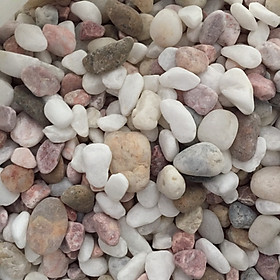 Sỏi ba màu ( size vừa ) dùng trang trí hồ cá và sân vườn