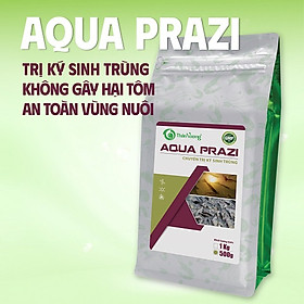 Kháng sinh chuyên trị ký sinh trùng cho tôm cá AQUA PRAZI (Dạng bột)