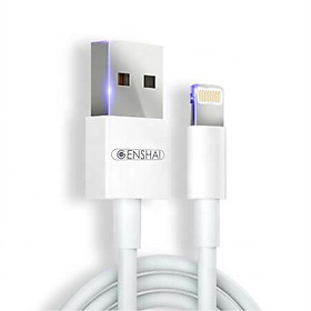Mua Cáp sạc GENSHAI GL01 1m dùng cho iPhone - iPad_ Hàng chính hãng