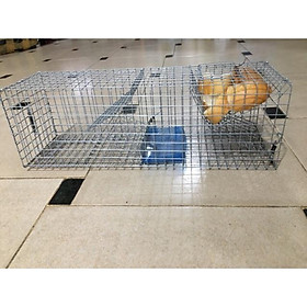 Mua Lồng bẫy chuột liên hoàn (lồng nhỏ) + tặng kèm mồi như hình