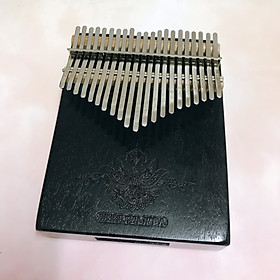 Mua Combo Đàn Kalimba ARES A21BK 21 Phím  Hộp chống sốc K02  Kalimba Tab