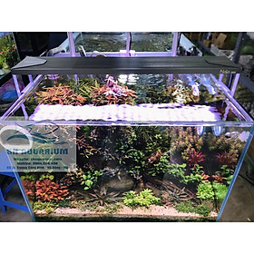 ĐÈN LED WRGB NALA 45CM