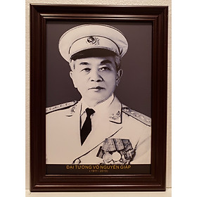 Ảnh gốc đen trắng chân dung Đại Tướng VÕ NGUYÊN GIÁP