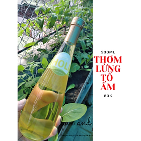 Dầu lạc truyền thống Holi