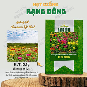 Mua Hạt giống Hoa Cúc Lá Nhám Nhiều Màu Rd 806 (0 1g~20 hạt) trồng thảm hoặc chậu quanh năm - Hạt giống Rạng Đông