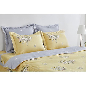 Mua Vỏ gối nằm epm21068 45*65(1 chiếc)