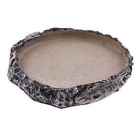 Reptile Feeding Bowl Food Water Resin Dish Bowl Pet Vivarium Tortoise Gecko