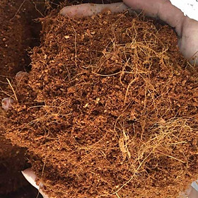 1 túi xơ dừa trộn đất làm giá thể ươm cây